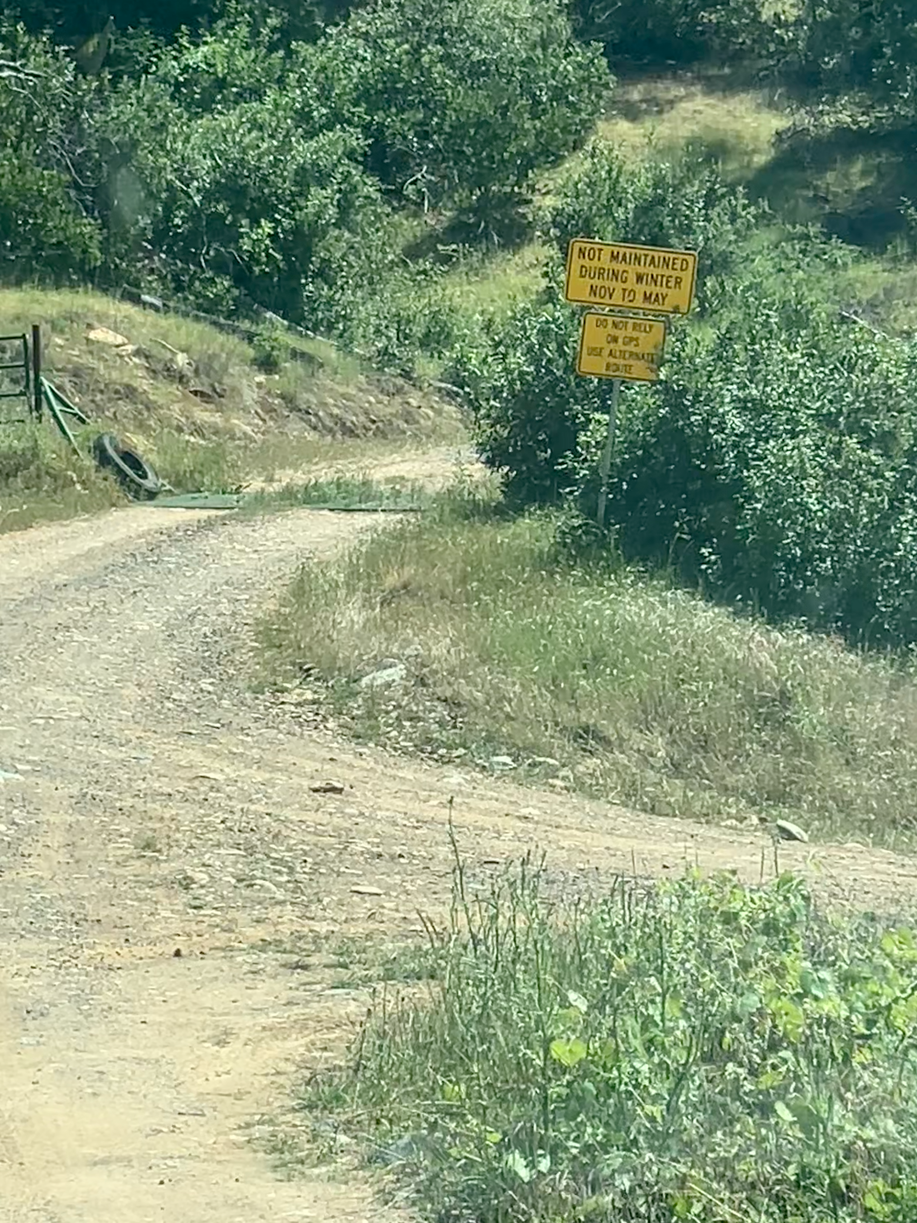 Cattle guard on Schilling Road