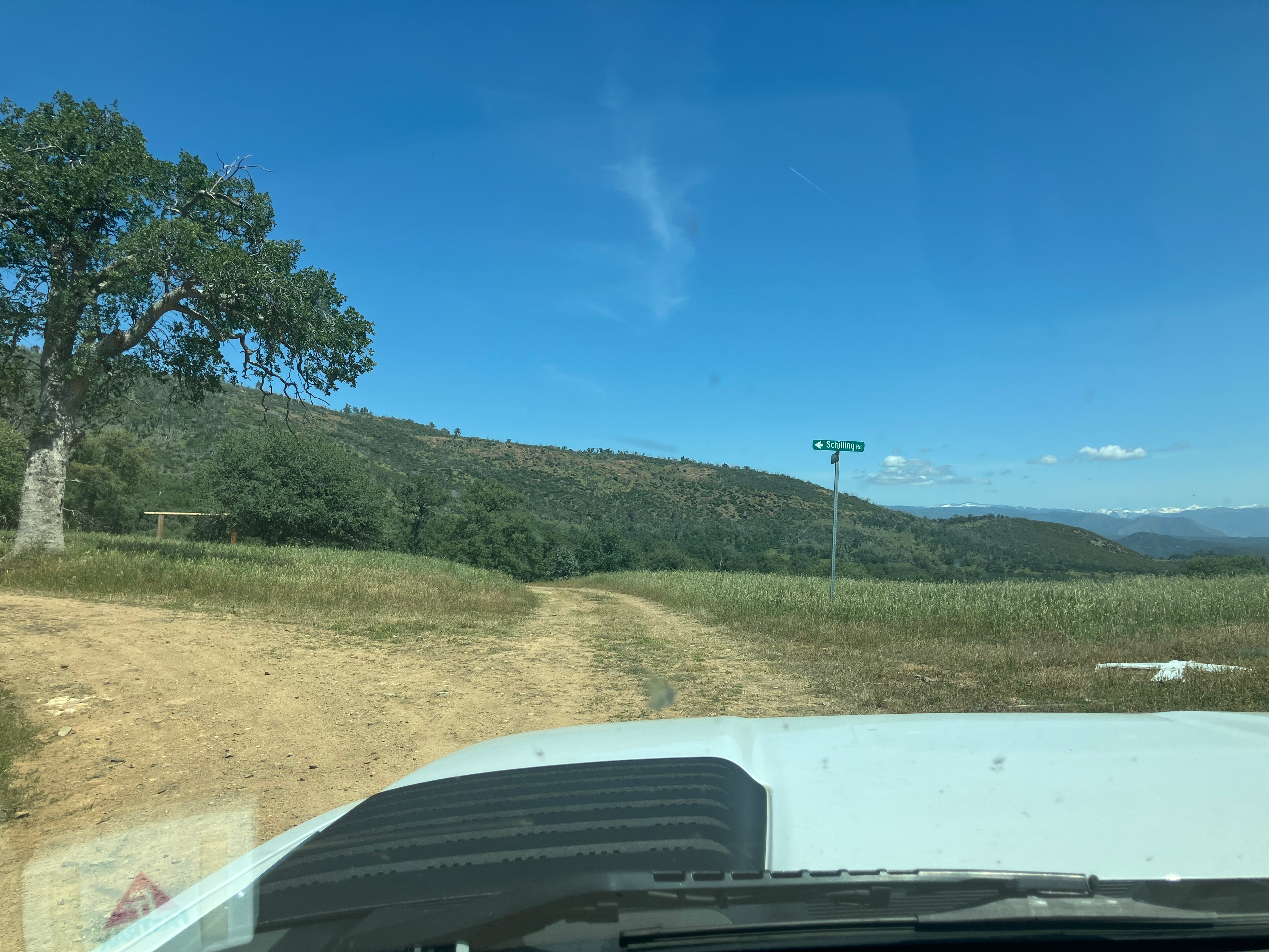 Cattle guard on Schilling Road